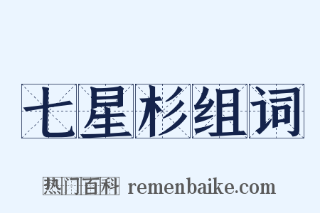 七星杉组词是什么意思的图片